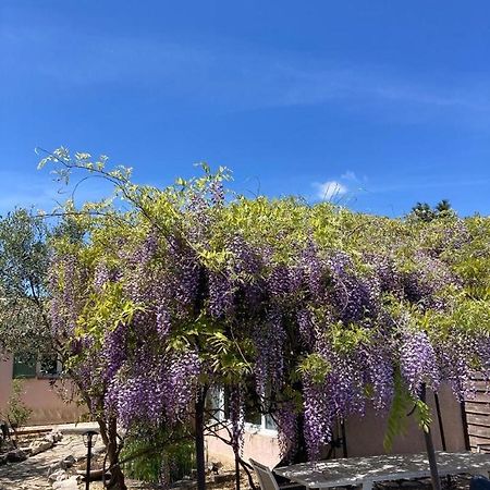 Le Clos Des Olivettes Sainte-Croix-de-Quintillargues Екстериор снимка