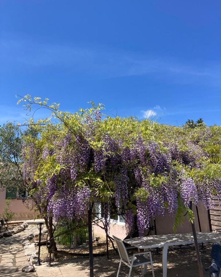 Le Clos Des Olivettes Sainte-Croix-de-Quintillargues Екстериор снимка